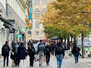 Pronájem obchodního prostoru, Praha - Nové Město, Václavské náměstí, 350 m2