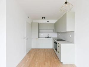 Prodej bytu 2+kk, Praha - Vinohrady, Perucká, 57 m2