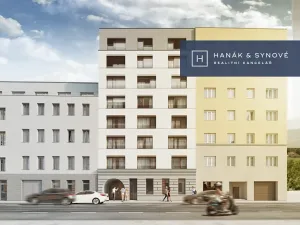 Pronájem bytu 1+kk, Brno, Cejl, 30 m2