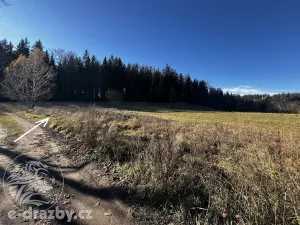 Prodej louky, Lučany nad Nisou, 1276 m2