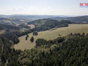 Prodej lesa, Valašská Senice, 8743 m2