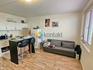 Pronájem bytu 1+kk, Brno, Mutěnická, 32 m2