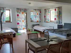 Pronájem bytu 1+kk, Těškov, 50 m2