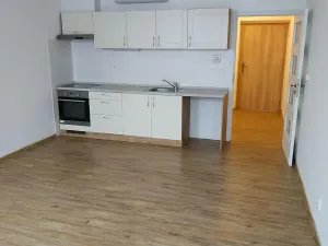 Pronájem bytu 1+kk, Dobříš, U Pivovaru, 30 m2