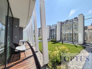 Pronájem bytu 2+kk, Praha - Smíchov, Holečkova, 180 m2