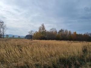 Dražba louky, Hlinsko, 8232 m2