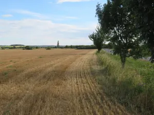 Dražba chaty, Žandov, 300 m2