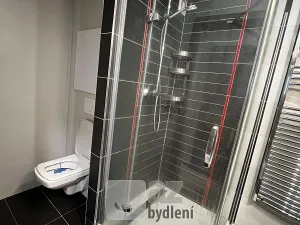 Pronájem bytu 2+kk, Tábor, Varšavská, 48 m2