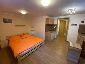 Pronájem bytu 1+kk, Liberec, Lázeňská, 33 m2