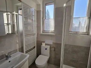 Pronájem bytu 1+1, Český Těšín, Ostravská, 52 m2