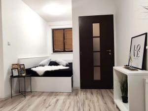 Pronájem bytu 1+kk, Ostrava, Na Úrovni, 30 m2