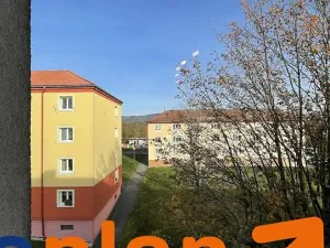 Prodej bytu 3+1, Ostrov, Horská, 74 m2