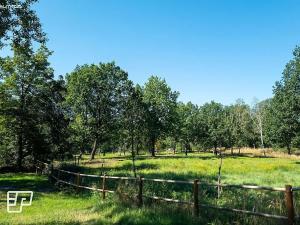 Pronájem komerčního pozemku, Jeníkov, 13072 m2