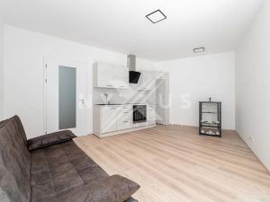 Pronájem bytu 1+kk, Praha - Štěrboholy, Pod areálem, 33 m2