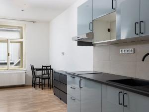 Pronájem bytu 1+kk, Praha - Nové Město, Navrátilova, 30 m2