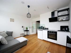 Pronájem bytu 1+kk, Praha - Vinohrady, Perucká, 27 m2