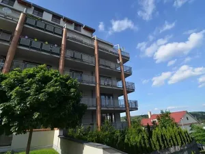 Pronájem bytu 2+kk, Praha - Dejvice, Máslova, 95 m2