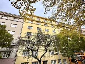 Pronájem bytu 3+kk, Praha - Žižkov, Biskupcova, 96 m2