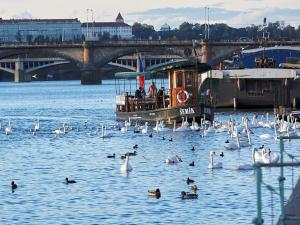 Prodej bytu 4+kk, Praha - Nusle, Bělehradská, 108 m2