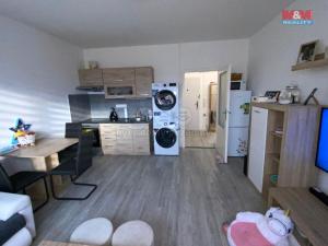 Pronájem bytu 2+kk, Děčín - Děčín II-Nové Město, Dvořákova, 41 m2