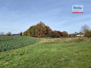 Prodej pozemku pro bydlení, Paceřice, 1000 m2