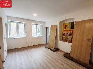 Pronájem bytu 3+1, Teplice, U Hadích lázní, 65 m2