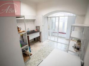 Pronájem obchodního prostoru, Teplice, Stará, 42 m2