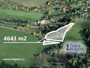 Prodej lesa, Stará Paka, 4641 m2