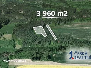 Prodej lesa, Libež, 3360 m2