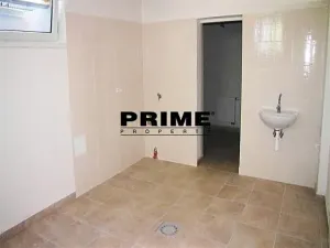 Pronájem rodinného domu, Průhonice, Pod Valem II., 400 m2