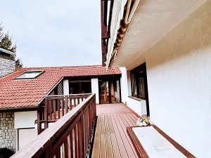 Prodej vily, Český Šternberk, 730 m2