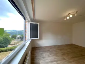 Pronájem bytu 1+1, Ústí nad Labem, Šrámkova, 34 m2