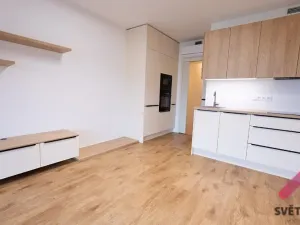 Pronájem bytu 1+kk, Praha - Žižkov, Šrámkové, 34 m2