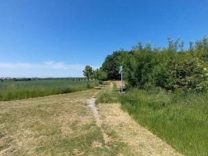 Prodej pole, Čestlice, Říčanská, 3118 m2