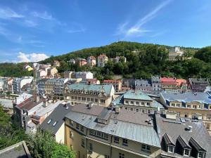 Prodej bytu 2+kk, Karlovy Vary, Zámecký vrch, 59 m2