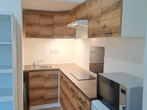 Pronájem bytu 1+kk, Brno, Koliště, 25 m2