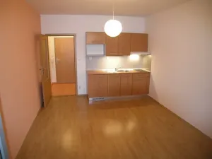 Pronájem bytu 1+kk, Brno, Božetěchova, 28 m2