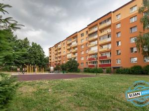 Pronájem bytu 1+1, Opava, 17. listopadu, 38 m2