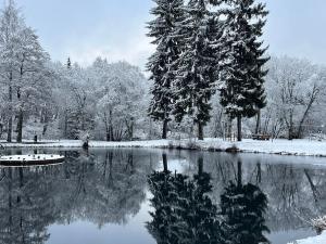 Prodej bytu 3+kk, Loučná pod Klínovcem, 54 m2