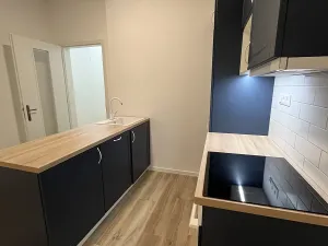 Pronájem bytu 1+kk, Brno, Antonínská, 30 m2