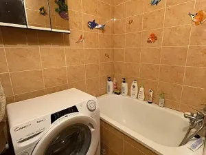 Pronájem bytu 1+kk, Hradec Králové, Na Kotli, 35 m2