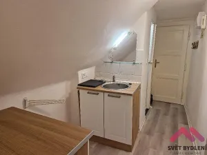 Pronájem bytu 1+kk, Praha - Dejvice, Evropská, 19 m2