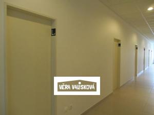 Pronájem kanceláře, Kroměříž, Spáčilova, 20 m2