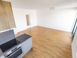 Prodej bytu 2+kk, Praha - Žižkov, Seifertova, 74 m2