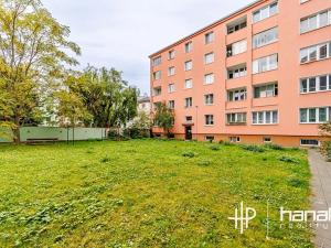 Pronájem bytu 1+kk, Olomouc, Jeremenkova, 22 m2