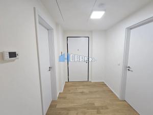 Pronájem bytu 2+kk, Praha - Holešovice, U průhonu, 50 m2