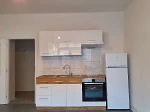 Pronájem bytu 1+kk, Praha - Břevnov, Bělohorská, 26 m2