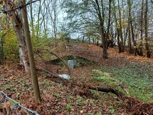 Prodej zahrady, Děčín, 1196 m2