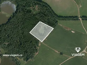 Prodej podílu lesa, Kardašova Řečice, 1150 m2