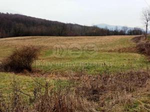 Prodej zahrady, Třebušín, 8010 m2